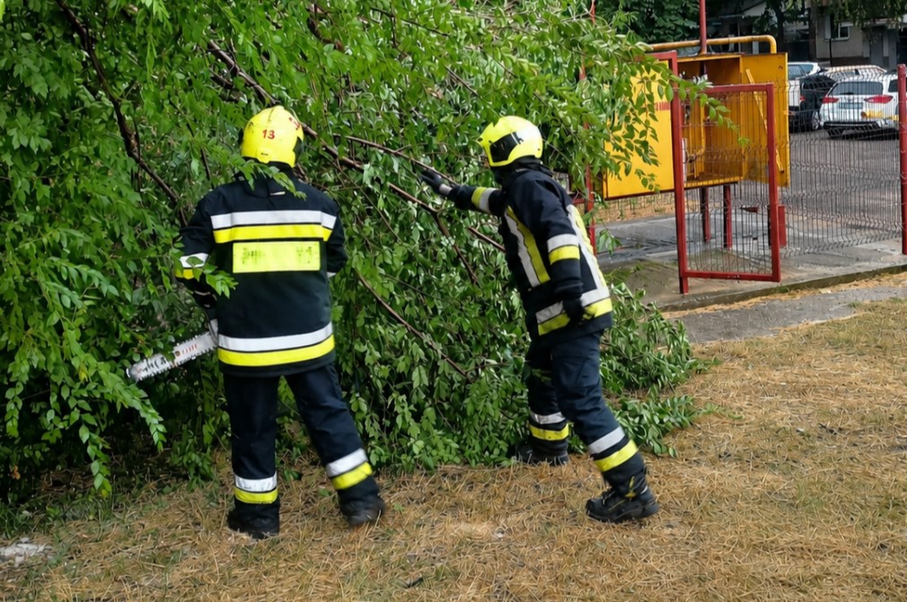 Copaci prăbușiți, acoperișuri distruse și drumuri blocate. Intervențiile salvatorilor în cinci raioane