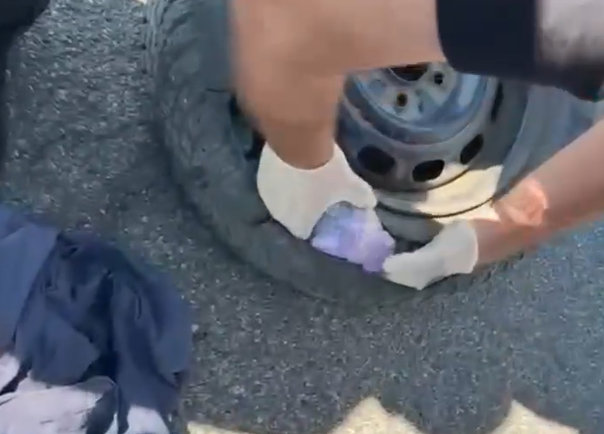 VIDEO // Droguri de peste 1,3 milioane de lei, depistate la PTF Palanca. Suspectul, plasat în arest