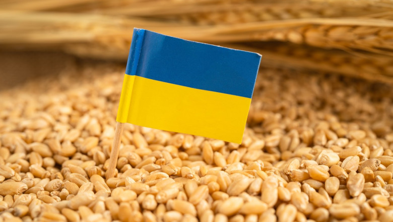 Ucraina cere UE un ajutor de 220 de milioane de euro pentru agricultorii afectați de război și secetă