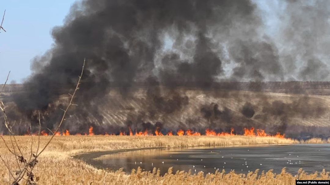 Cod galben de pericol de incendiu. Avertizarea este valabilă până pe 21 august
