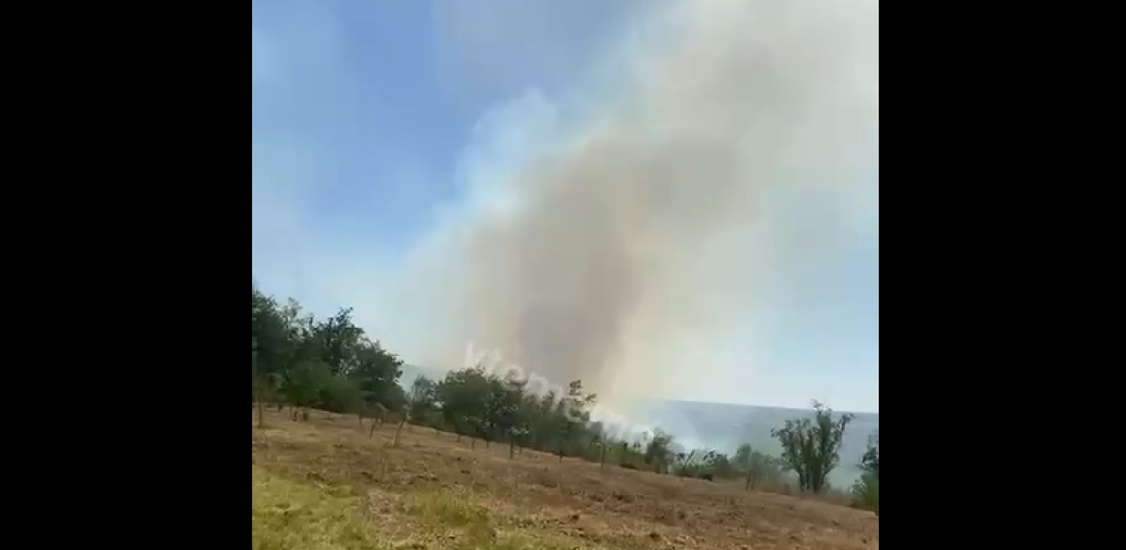 Incendiu de vegetație în Chișinău. Cinci echipaje de pompieri luptă cu flăcările